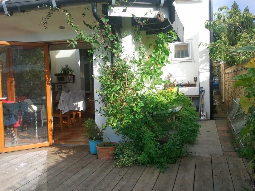 The completed timber extension opening onto a wide garden deck